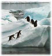 We'll find you a cool place to live on the web